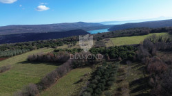 /c_images/thumb_3486628_1_1738572342_dji_0849.jpg