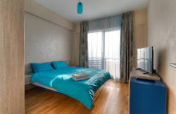/c_images/thumb_3494119_3_e-site-8-agency-bokarealty-img-kcq4vhfzmd-main-bedroom-1.jpg