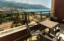 /c_images/thumb_3494125_2_on-image-site-8-agency-bokarealty-img-aywgrekbxt-terrace.jpg