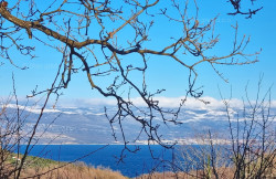 /c_images/thumb_3498913_4_ik_kamena_kuca_s_okucnicom_na_mirnoj_lokaciji_prodaja_16.jpg