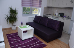 /c_images/thumb_3501945_1_apartmani-beograd-dnevna-soba.JPG