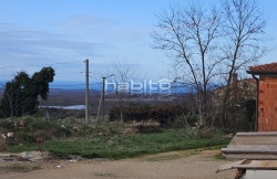 /c_images/thumb_3502403_2_pc2xrg942sdudm6dftth_1739881675.jpg