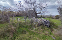/c_images/thumb_3503095_4_1743081519_mrgani-rusevina-2.jpg
