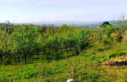/c_images/thumb_3507078_1_Placevi-Debeljaci-00.jpg