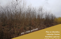 /c_images/thumb_3507091_1_Plac-u-prirodi.jpg