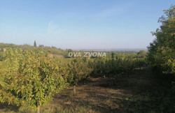 /c_images/thumb_3511813_1_ite-8-agency-dvazvona-img-jdgae4dviv-img-20240919-083437.jpg
