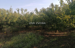 /c_images/thumb_3511813_3_ite-8-agency-dvazvona-img-3znxgwnfka-img-20240919-083710.jpg