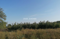 /c_images/thumb_3511813_4_ite-8-agency-dvazvona-img-4xtxabydbo-img-20240919-083205.jpg