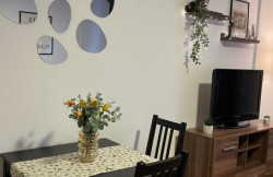 /c_images/thumb_3512720_3_apartmani-beograd-centar-apartman-apartman-galerija7.jpg