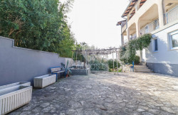 /c_images/thumb_3513057_1_1740082424_pula-15.jpg