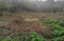 /c_images/thumb_3516116_4_ite-8-agency-dvazvona-img-4c3pt6zuq3-img-20240315-123403.jpg