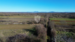 /c_images/thumb_3516318_1_1735801681_dji_0721.jpg