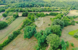 /c_images/thumb_3516437_1_1626872757_dji_0387.jpg