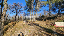 /c_images/thumb_3517667_3_vxe23min2uxxv2euzt0k_1741702284.jpg