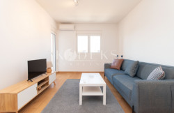 /c_images/thumb_3523545_1_t-for-rent-podgorica-new-city-kvart-master-central-point.jpg