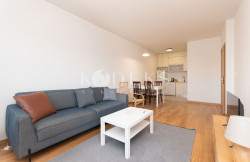 /c_images/thumb_3523545_2_for-rent-podgorica-new-city-kvart-master-central-point-3.jpg