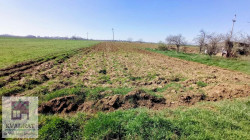/c_images/thumb_3529199_2_n-image-site-8-agency-kvadratobrenovac-img-6hom74yxmz-2.jpeg