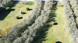 /c_images/thumb_3532472_1_1743432747_dji_0575.jpg