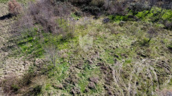 /c_images/thumb_3532476_1_1743427451_dji_0623.jpg