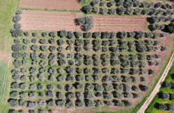 /c_images/thumb_3536983_4_1743935122_dji_0617.jpg