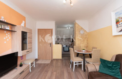 /c_images/thumb_3539675_3_radzic-oktoih-one-bedroom-apartment-for-rent-podgorica-4.jpg