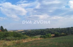 /c_images/thumb_3543068_1_ion-image-site-8-agency-dvazvona-img-2eat4kqnre-img-6176.jpg