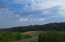 /c_images/thumb_3543068_2_ion-image-site-8-agency-dvazvona-img-5tn7py3tvy-img-6178.jpg