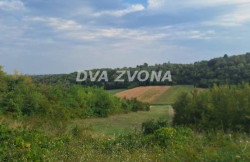 /c_images/thumb_3543068_3_ion-image-site-8-agency-dvazvona-img-5xttiub37o-img-6179.jpg