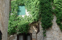 /c_images/thumb_3545242_1_Faros_97559a8bd216.jpg
