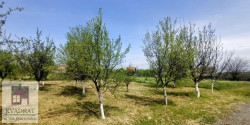 /c_images/thumb_3548048_2_vadratobrenovac-img-gwmgcyh0ci-photo-2025-04-22-11-40-04.jpg