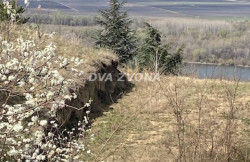 /c_images/thumb_3552525_4_ion-image-site-8-agency-dvazvona-img-ho8ys5svuh-img-3662.jpg
