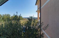 /c_images/thumb_3554387_4_Divino_6225237b04db.jpg
