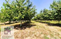 /c_images/thumb_3554431_1_n-image-site-8-agency-kvadratobrenovac-img-h6wrccptph-7.jpeg
