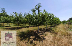 /c_images/thumb_3554431_3_n-image-site-8-agency-kvadratobrenovac-img-8cbpedteea-5.jpeg