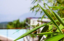 /c_images/thumb_3556953_4_-image-site-8-agency-crassula-img--c14-a-3112-1-920a7877.jpg