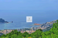 /c_images/thumb_3556969_4_image-site-8-agency-crassula-img--c14-r-9003-budva-pic-3.jpg