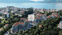 /c_images/thumb_3557084_1_age-site-8-agency-crassula-img--c14-a-8631-2-tivat-r3-v1.jpg