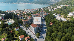 /c_images/thumb_3557085_2_age-site-8-agency-crassula-img--c14-a-8631-3-tivat-r2-v1.jpg