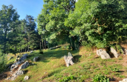 /c_images/thumb_3557212_2_ir-nekretnine.hrslikewatermark-zir.png_50_30_20_c_c_s_c1.jpg