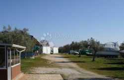 /c_images/thumb_3559014_3_odaja-buzinija-skladisni-radiona-5700-m2-slika-176550164.jpg