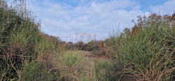 /c_images/thumb_3559074_3_redno-zemljiste-galizana-2250-m2-monteci-slika-235098688.jpg