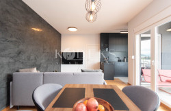 /c_images/thumb_3559489_3_apartment-for-sale-podgorica-zabjelo-ljubovic-multicom-4.jpg