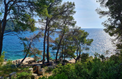 /c_images/thumb_3560361_1_r-front-house-for-sale-Croatia-Korcula-island-31-Large-1.jpg