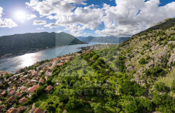 /c_images/thumb_3560444_1_11592_n6XW_Prodaja_Zemljiste_Kotor.jpg