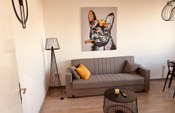 /c_images/thumb_3562044_1_apartmani-beograd-centar-apartman-your-cozy-place.jpg