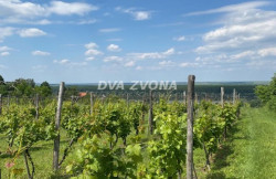 /c_images/thumb_3562670_4_ion-image-site-8-agency-dvazvona-img-bftnq6bjqx-img-4324.jpg