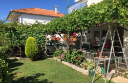 /c_images/thumb_3563808_1_Apartman_Bosiljka_Jerolim_Grubelic_df69d09e1d75.jpg