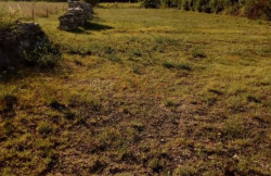 /c_images/thumb_3564878_4_loborika-grad-dozvola-placen-kom-doprino-slika-244933846.jpg