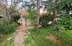/c_images/thumb_3565714_1_Stone-house-for-sale-Murter-Sibenik-Croatia-6-300x225.jpg
