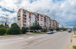 /c_images/thumb_3566064_1_Zabjelska-vektra-1.jpg